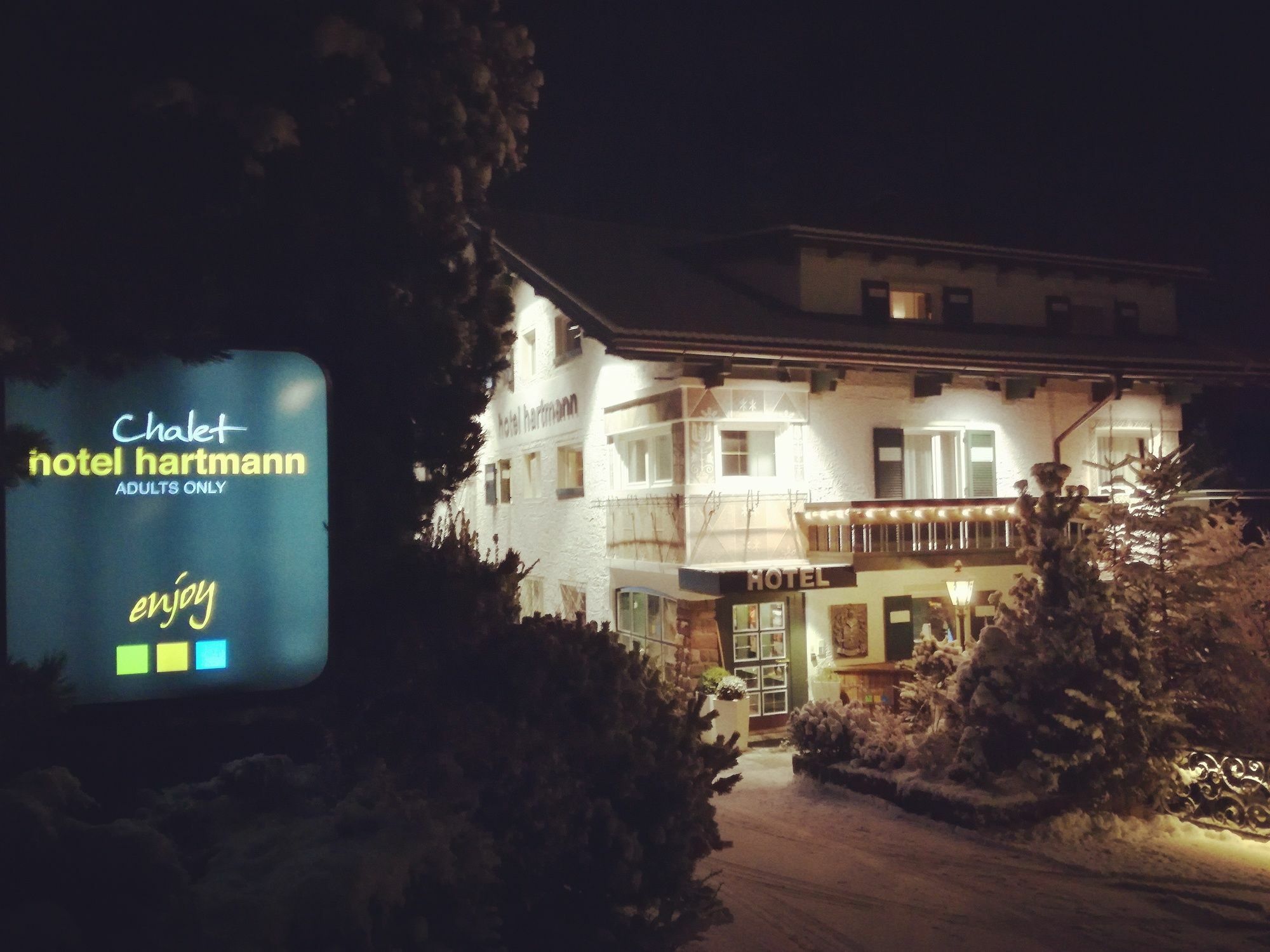 CHALET HOTEL HARTMANN - ADULTS ONLY ОРТИЗЕИ 3* (Италия) - от 45651 RUB |  NOCHI